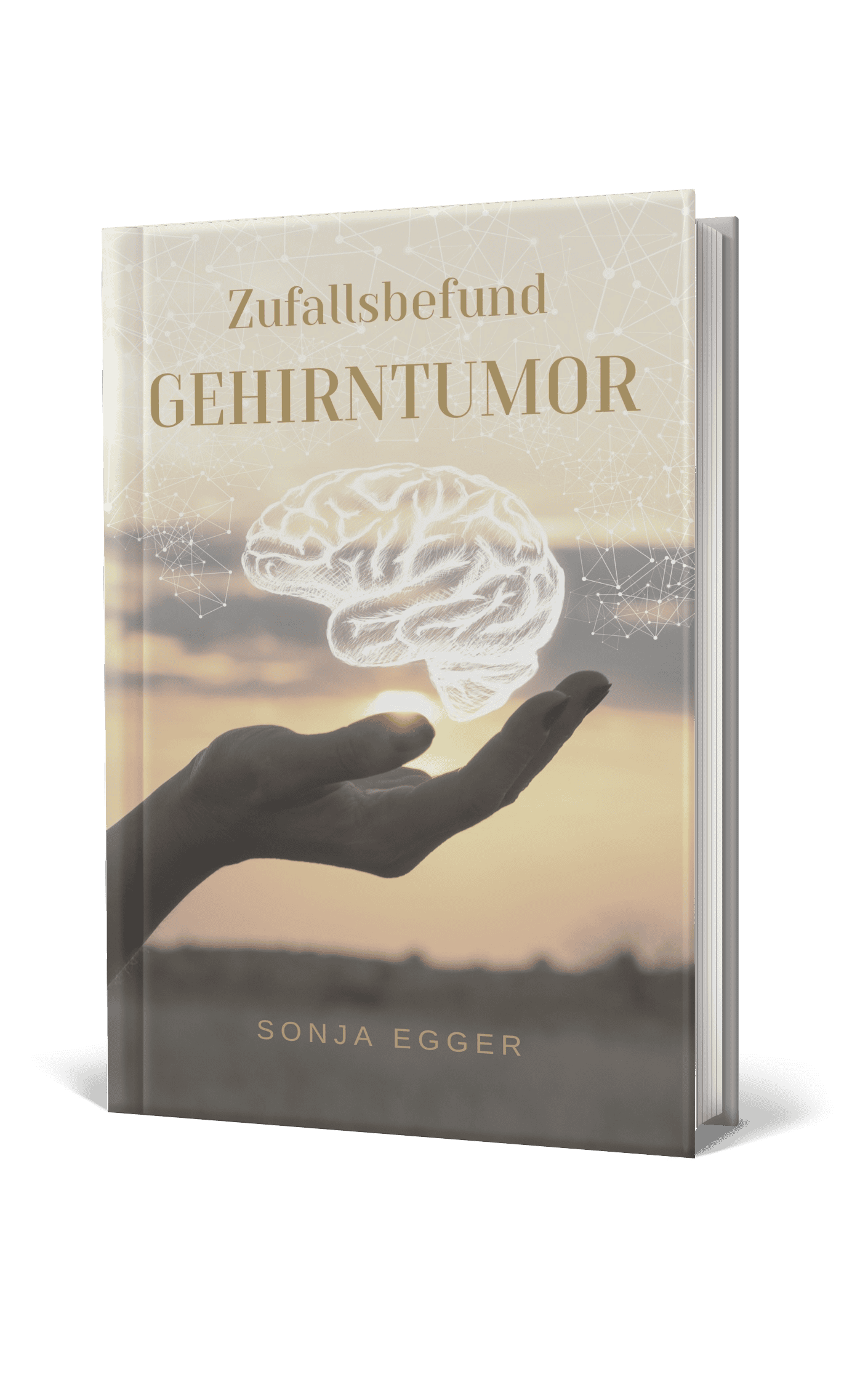Cover Buch Zufallsbefund Gehirntumor